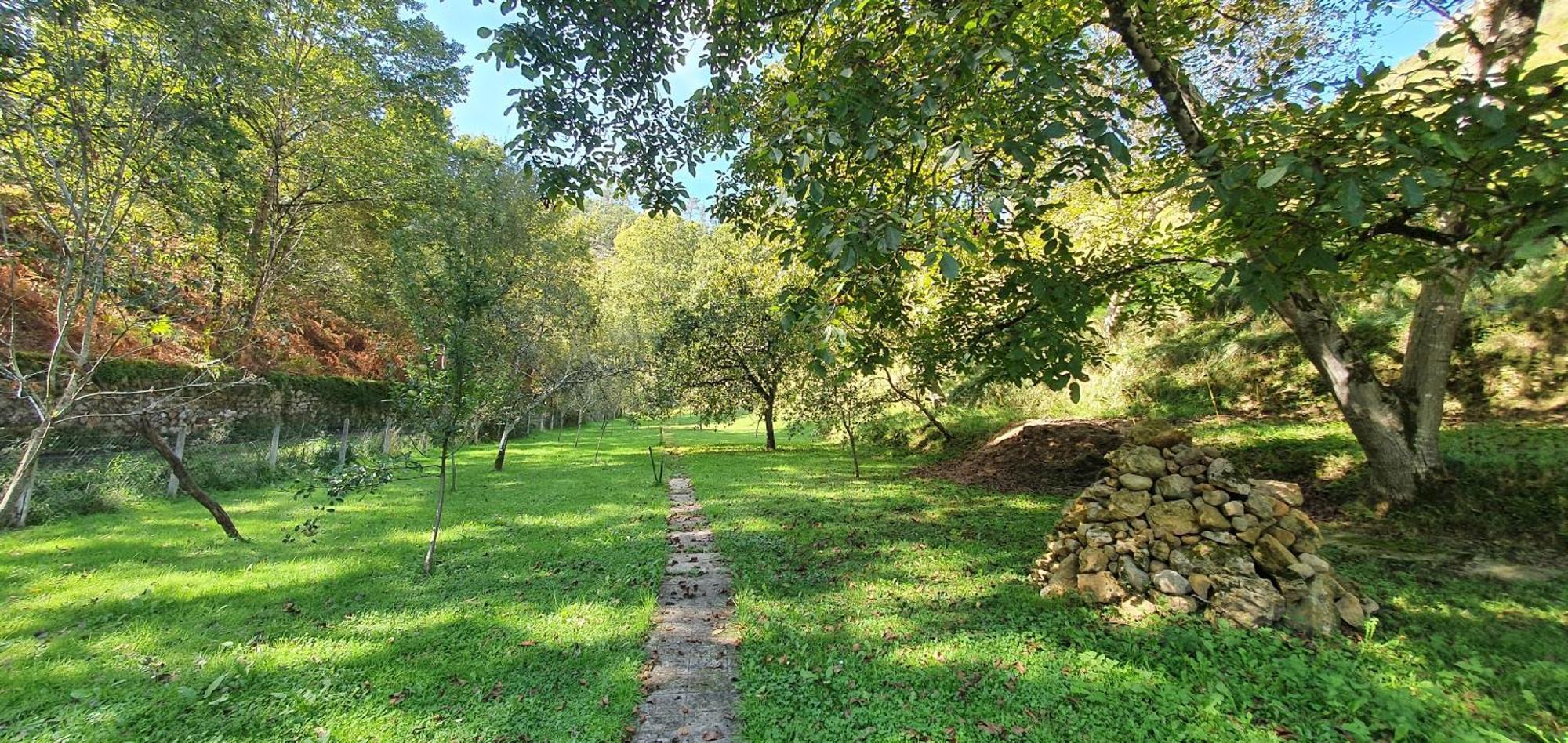 La Casona De La Vega Junto A Onís Εξωτερικό φωτογραφία